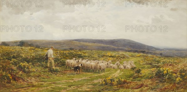 A Herefordshire Common, 1860-1900.