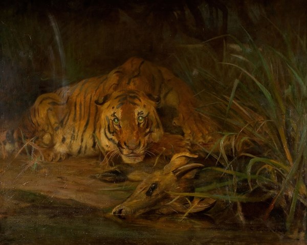 Tiger And Prey, 1931.