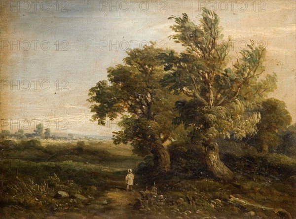 Landscape With Trees, 1863. Attributed to Samuel Rostill Lines.