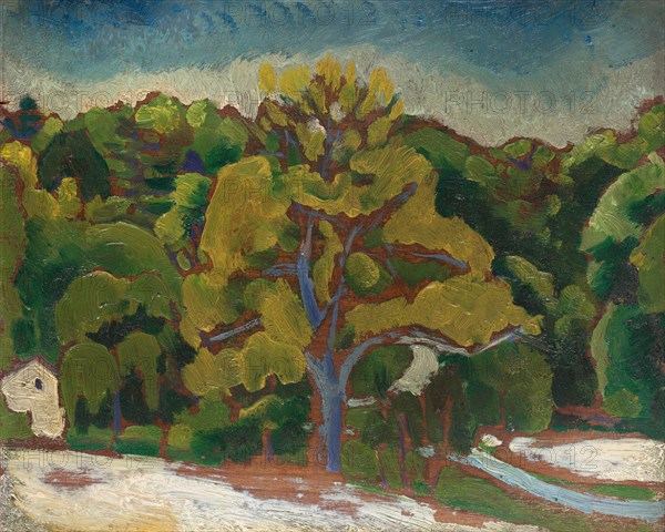 Landscape, c. 1912.