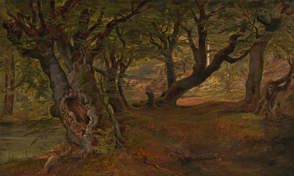 View of Bregentved Forest, Sjaeeland, mid 1830s.