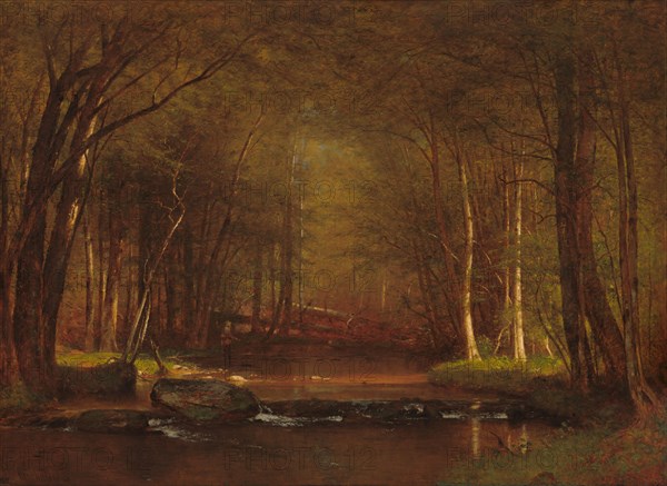 Trout Brook in the Catskills, 1875.