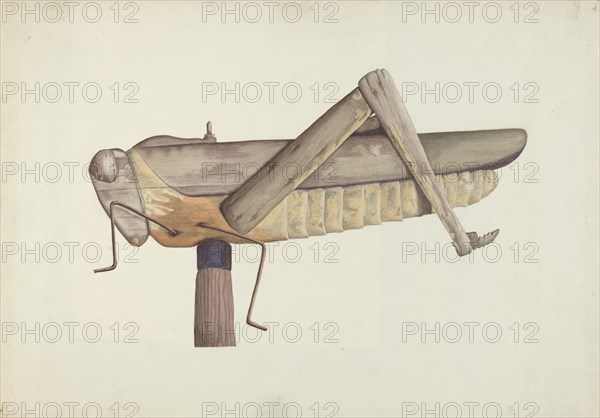 Grasshopper Weather Vane, 1937.