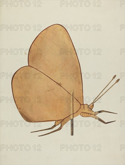 Butterfly Weather Vane, c. 1938.