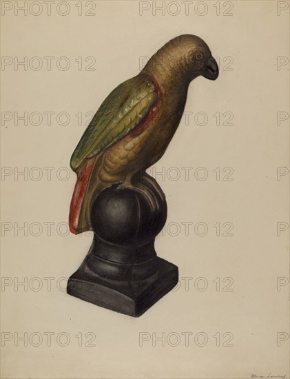 Parrot, c. 1937.