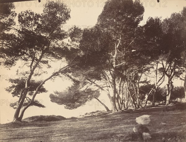 Cannes, Ile Saint Honorat, c. 1899-1927.