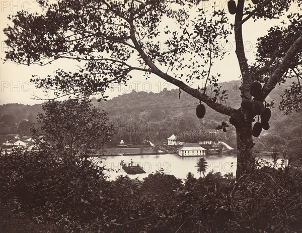 A Peep from Upper Lake Road showing Temple and Island with Park -- fruit tree in foreground, c.1865.