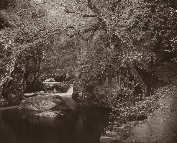 The Dargle Hole, c. 1865.