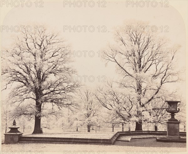 Hoarfrost, a Park Scene, 1862.