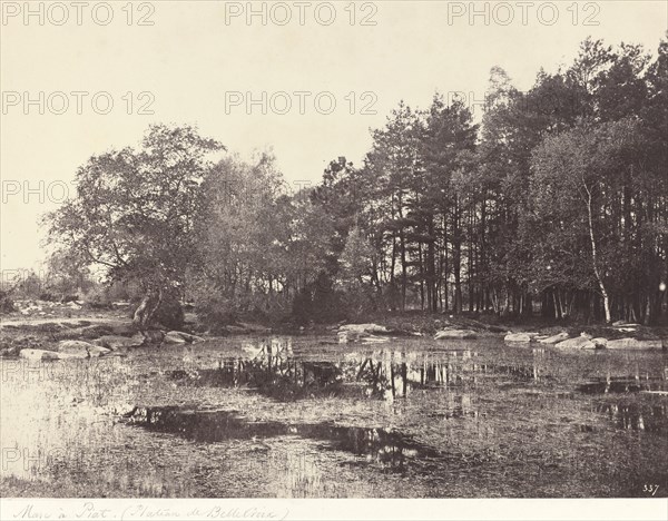 Marsh at Piat (Belle-Croix Plateau), c. 1863.