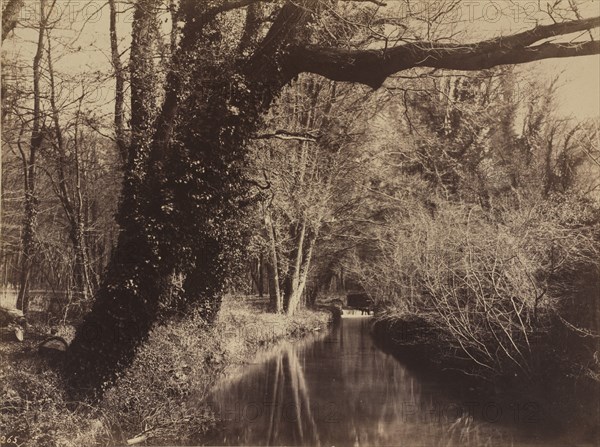 Parc de Courances, late 1850s.