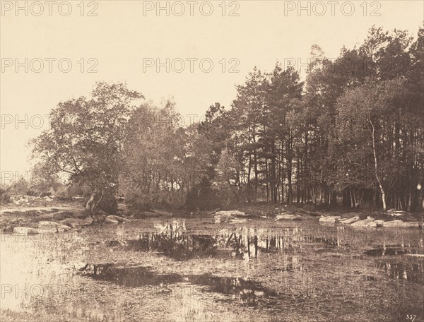 Marsh at Piat (Belle-Croix Plateau), c. 1863.