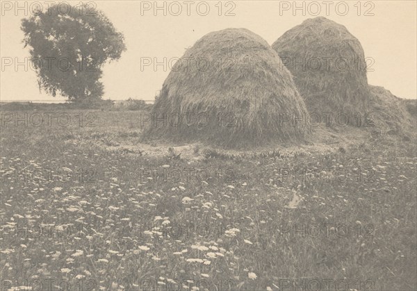 Haystacks, Ipswich, c. 1894.