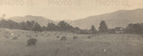 Landscape with trees and mountains, c. 1900.