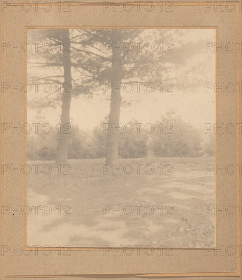 Landscape with trees, c. 1900.