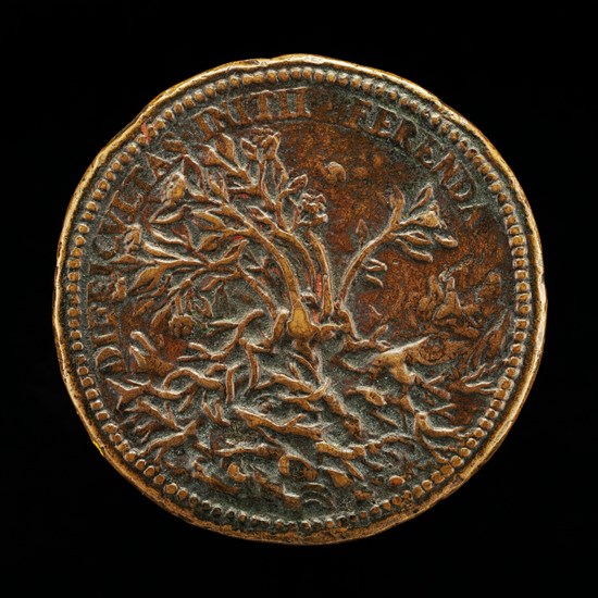 Flowering Shrub Growing through Thorns [reverse], c. 1570.