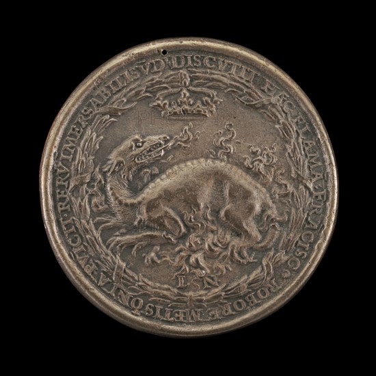 Salamander in Flames [reverse], 1537.