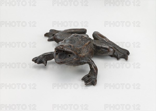 A Frog, early 16th century.
