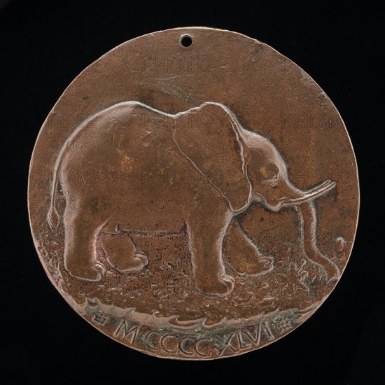 The Malatesta Elephant in a Meadow [reverse], 1446.