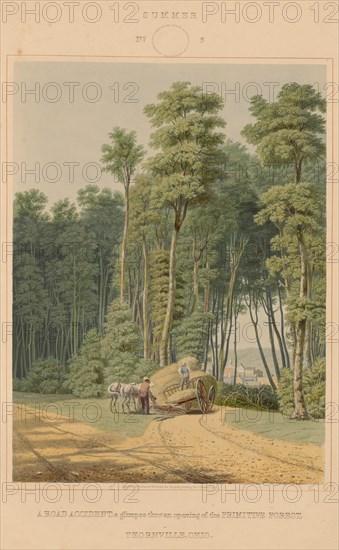 Summer--A Road Accident. A glimpse thro' an opening of the Primitive Forest. Thornville, Ohio, 1841.