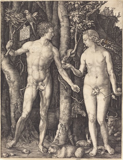 Adam and Eve, 1504.