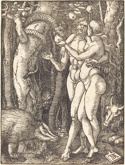 The Fall of Man, probably c. 1509/1510.