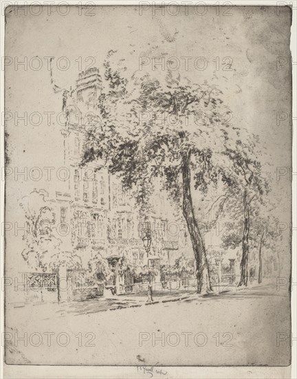 Big Tree, Cheyne Walk, 1906.
