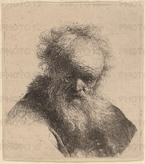 Bust of an Old Man with Flowing Beard and White Sleeve, c. 1630.
