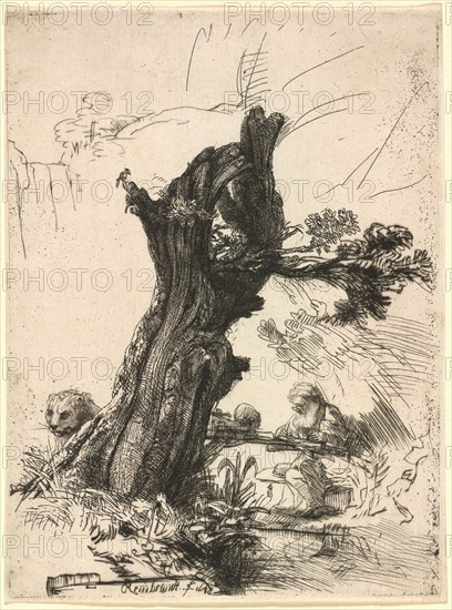 Saint Jerome beside a Pollard Willow, 1648.