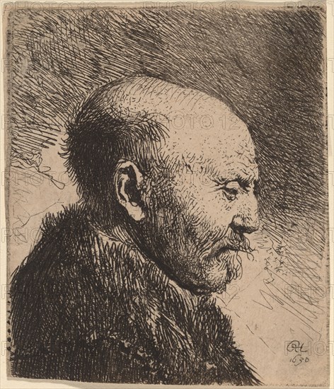 A Bald Man in Profile (The Artist's Father?), 1630.