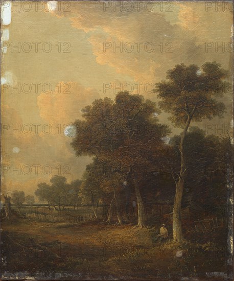 Landscape.