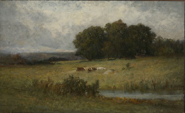 Bright Scene of Cattle near Stream.