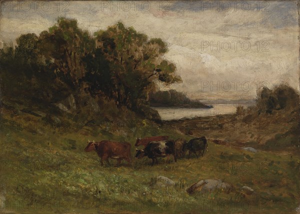 Untitled (five cows grazing with trees and river in background).