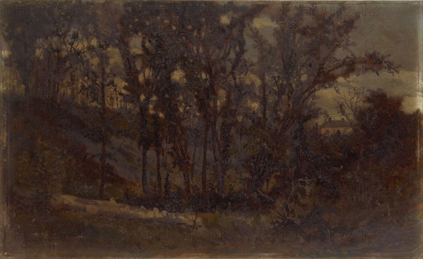 Untitled (forest scene, fallen tree in foreground and house in background), 1873.