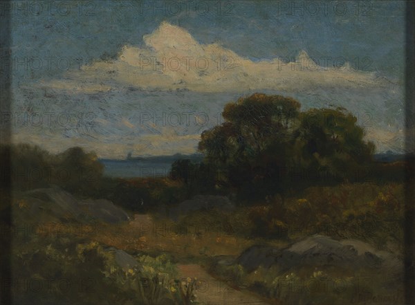 Landscape (trees and rocks by lake).