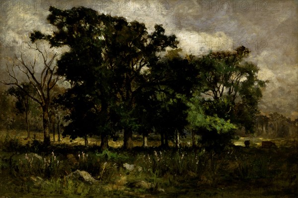 Tree Landscape, 1877.
