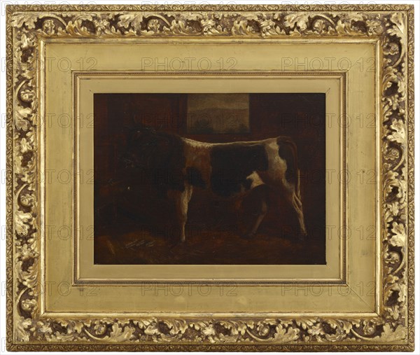 A Prize Bull, 1870.