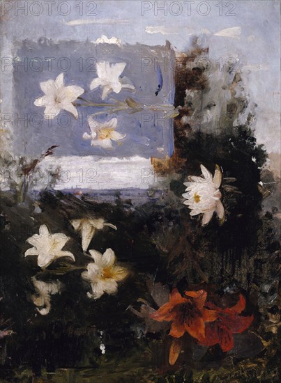 Flower Studies, ca. 1886.