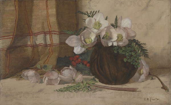 Still Life with Roses, ca. 1885-87. Creator: Charles Ethan Porter.
