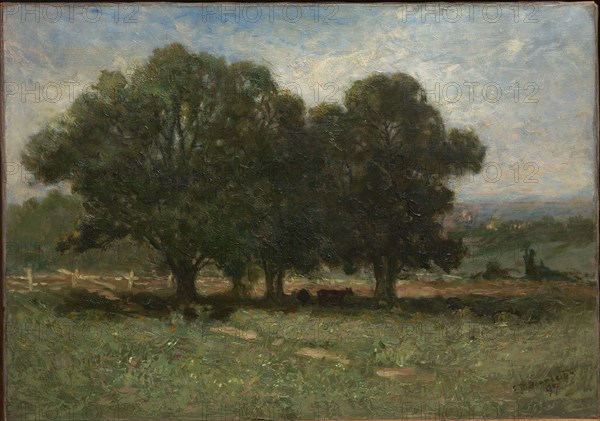 Landscape, 1899.