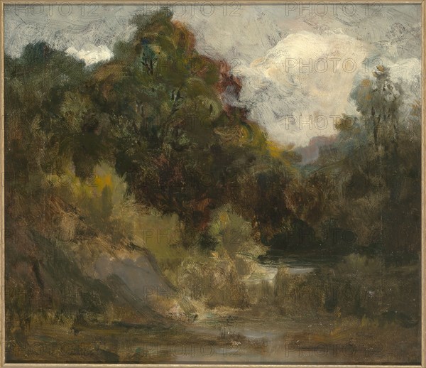 Landscape (trees), n.d.