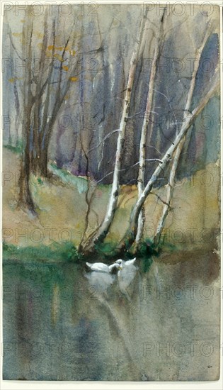 Untitled (Wood Scene with Birch Trees and Ducks), n.d.
