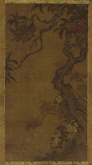 Peaches and Chrysanthemums, 1368-1644.