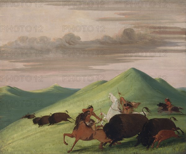 Buffalo Chase, Bull Protecting a Cow and Calf, 1832-1833.