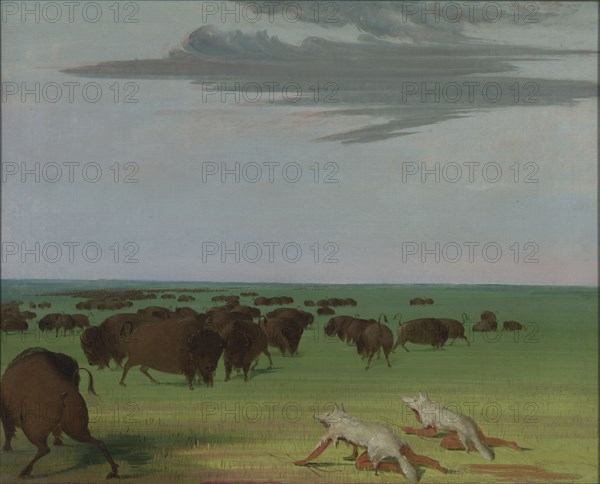 Buffalo Hunt under the Wolf-skin Mask, 1832-1833.