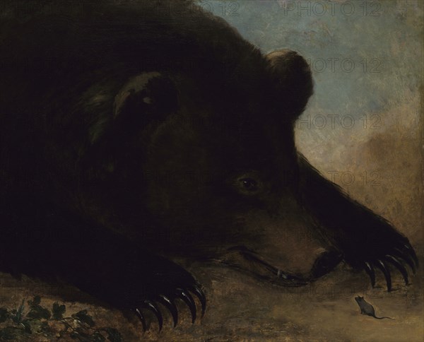 Portraits of a Grizzly Bear and Mouse, Life Size, 1846-1848.