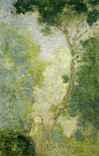 (Landscape), after 1900.