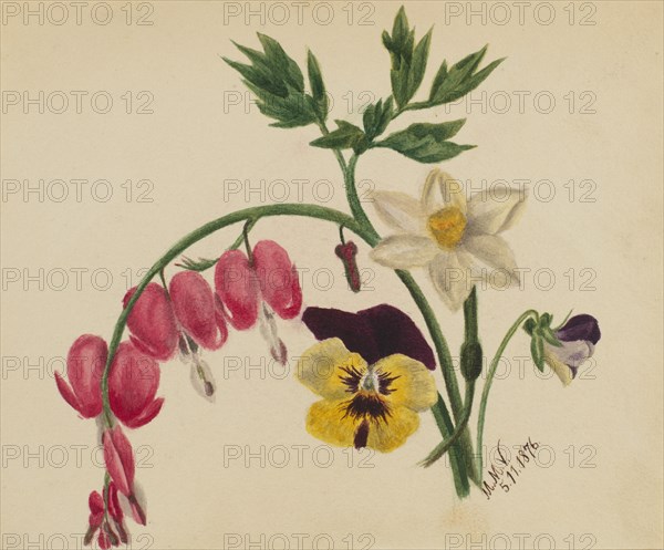 (Untitled--Mixed Flowers), 1876.