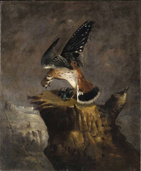 Vulture and Its Prey, 1844.