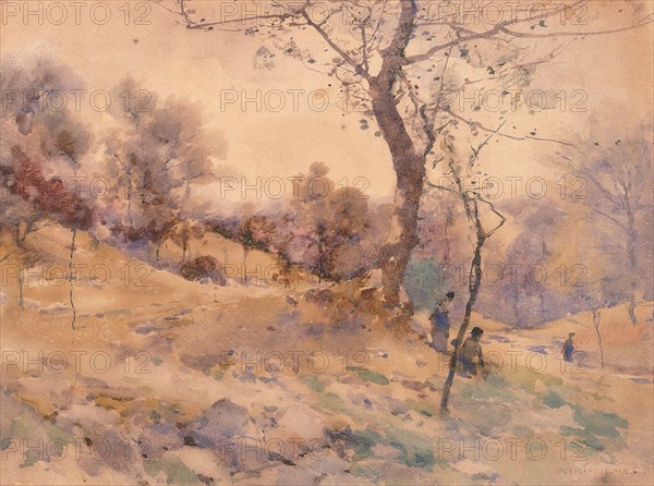 Landscape, n.d.